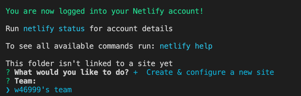Netlify terminal instructions