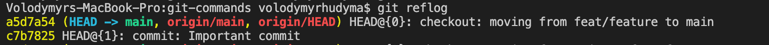Git Reflog Output