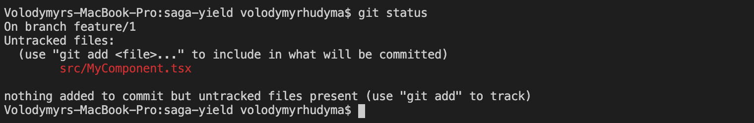 Git Untracked File