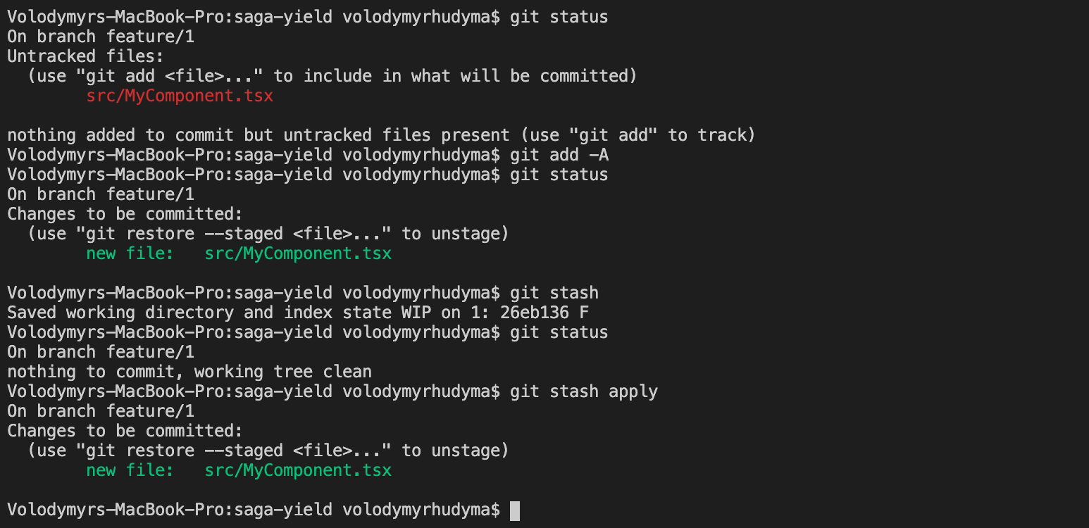 Git Stash Tracked File