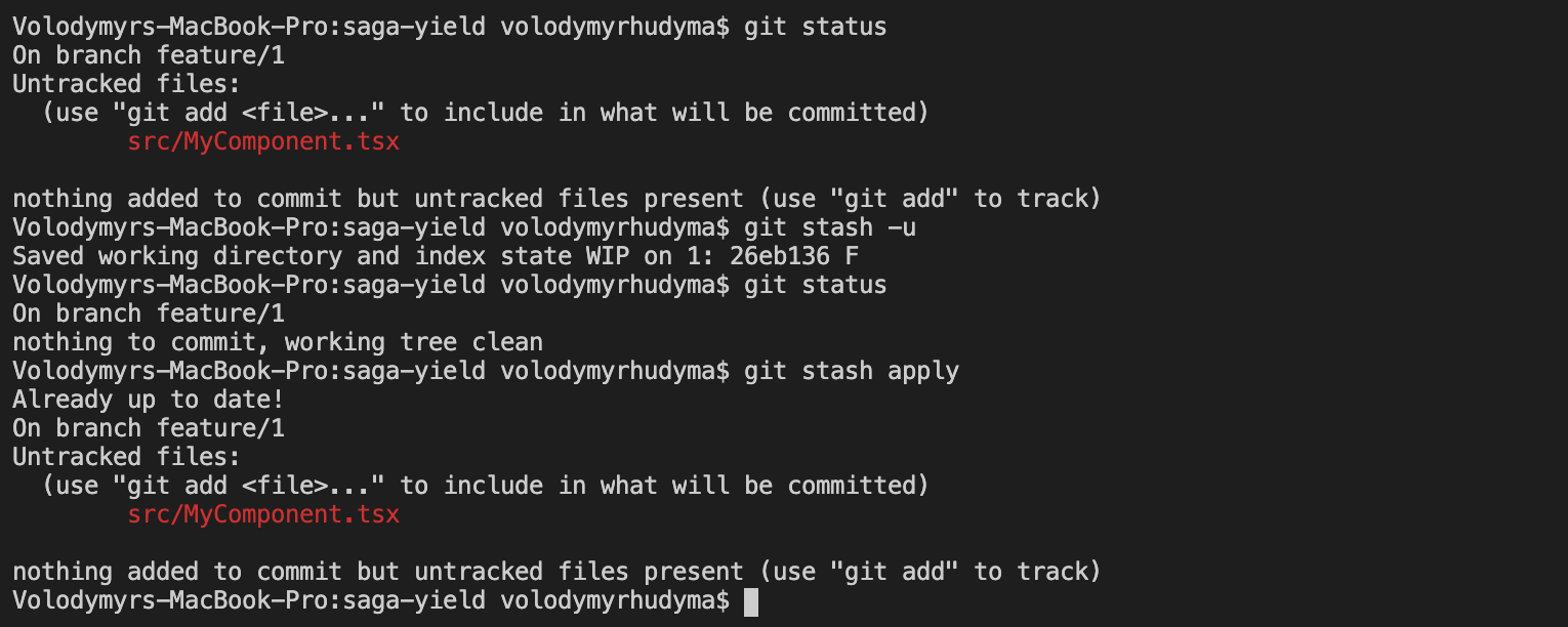 Git Stash Untracked File
