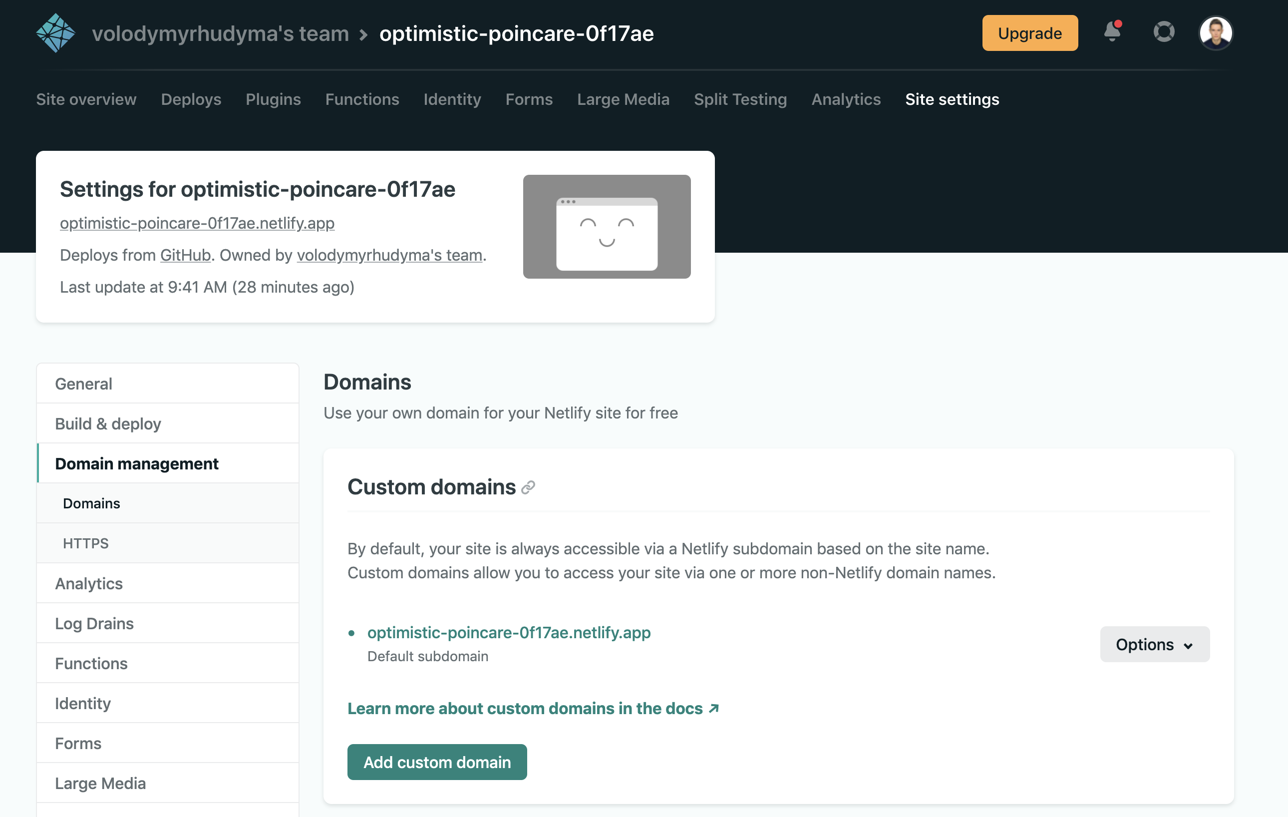 Netlify Custom Domain Section In Site Settings